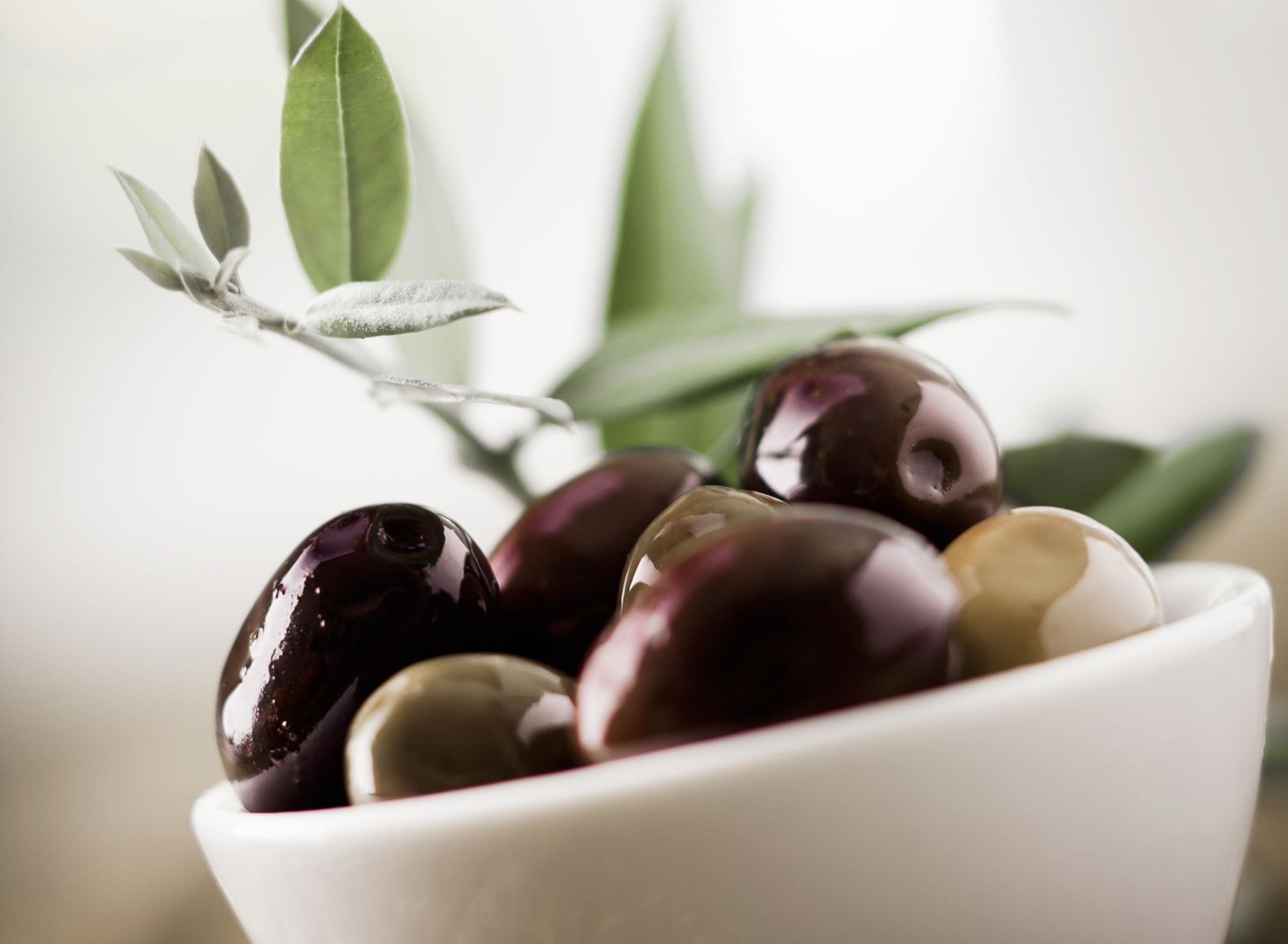 Ernährungslehre nach TCM